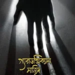 প্যারাডক্সিক্যাল সাজিদ